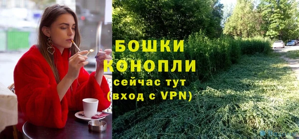 прущие грибы Няндома