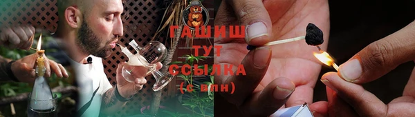 прущие грибы Няндома