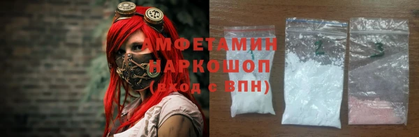 прущие грибы Няндома