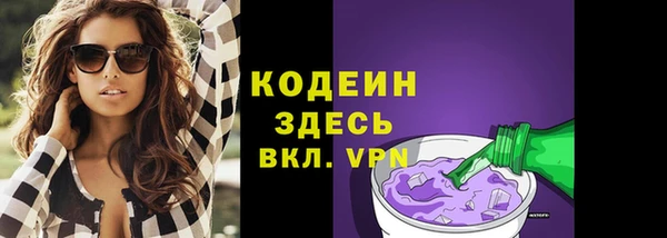 прущие грибы Няндома