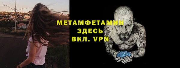 прущие грибы Няндома