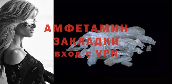 прущие грибы Няндома