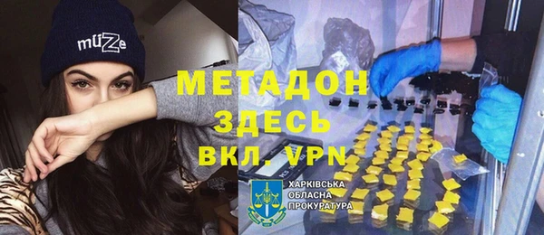 прущие грибы Няндома