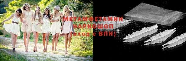прущие грибы Няндома