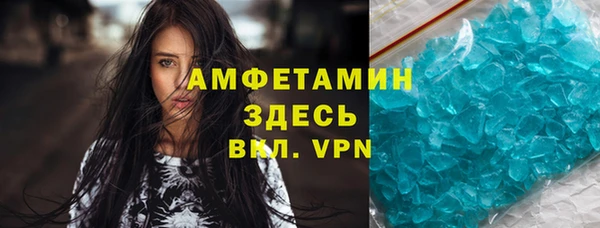 прущие грибы Няндома